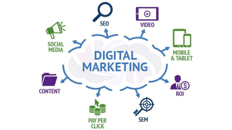Digital Domination in Delhi: How WebDesino Is Powering Local Businesses Online